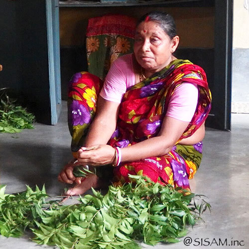 neemスプーンプレート