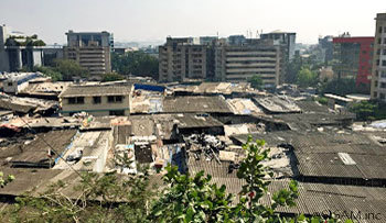 Creative Handicrafts / WORLD FAIR TRADE ORGANIZATION