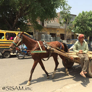 Noah’s Ark / WORLD FAIR TRADE ORGANIZATION