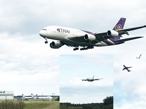 さくらの山公園